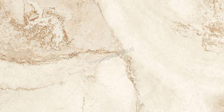  Coem Ceramiche Touch Stone Gold 30.2x60.4 cm Vloertegel / Wandtegel Glanzend Vlak Levigato TO362LR | 319480