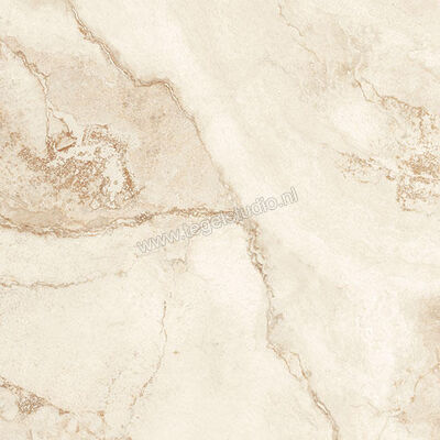 Coem Ceramiche Touchstone Gold 60.4x60.4 cm Vloertegel / Wandtegel Glanzend Vlak Levigato TO602LR | 319483