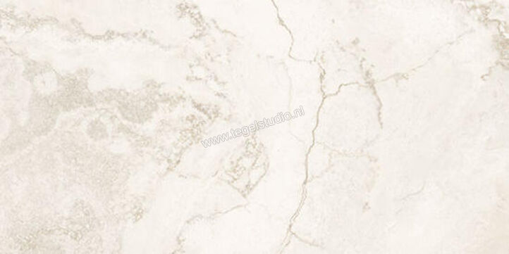  Coem Ceramiche Touch Stone Grey 60.4x120.8 cm Vloertegel / Wandtegel Glanzend Vlak Levigato TO623LR | 319507
