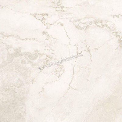  Coem Ceramiche Touch Stone Grey 60.4x60.4 cm Vloertegel / Wandtegel Glanzend Vlak Levigato TO603LR | 319510