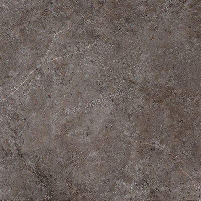  NovaBell Landstone Carbon 100x100 cm Vloertegel / Wandtegel Mat Gestructureerd Naturale LST102R | 320014