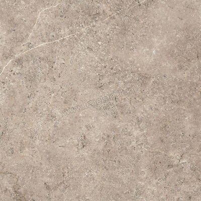  NovaBell Landstone Taupe 120x120 cm Vloertegel / Wandtegel Mat Gestructureerd Naturale LST185R | 320020