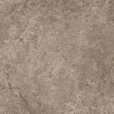  NovaBell Landstone Earth 60x60 cm Vloertegel / Wandtegel Mat Gestructureerd Naturale LST60RT | 320023