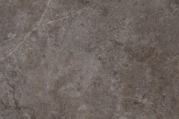  NovaBell Landstone Carbon 60x90 cm Vloertegel / Wandtegel Mat Gestructureerd Naturale LST21RT | 320089