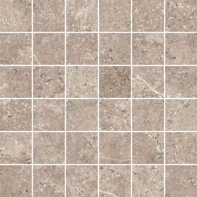 Novabell Landstone Taupe 30x30 cm Mozaiek 5x5 Mat Gestructureerd Naturale LST555N | 320152