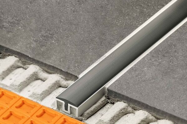 Schlüter Systems SHOWERPROFILE-WS Overstromingsbeveilingsprofiel Draagprofiel alu, bruut mat geanodiseerd Aluminium AE - Alu, bruut mat geanodiseerd Sterkte: 8 mm Breedte: 19 mm Lengte: 2,5 m SPWS19AE | 322270