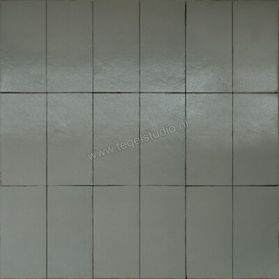  Marazzi Terramater Lichene 18.6x37.5 cm Vloertegel / Wandtegel Glanzend Gestructureerd Lux MPLV | 323410
