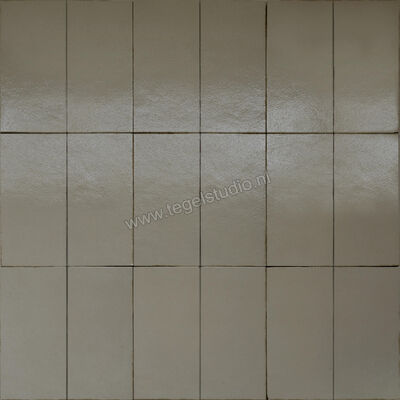  Marazzi Terramater Muschio 18.6x37.5 cm Vloertegel / Wandtegel Glanzend Gestructureerd Lux MPLT | 323422