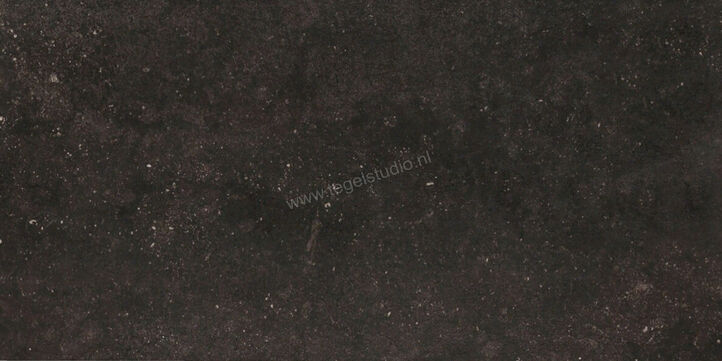Marazzi Mystone - Bluestone Antracite 60x120 cm Vloertegel / Wandtegel Mat Vlak Naturale M03E | 32348