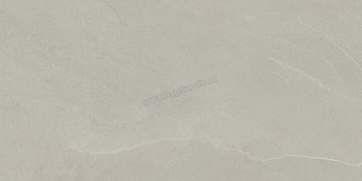  Imola Ceramica Azuma Rock Silver AG 60x120 cm Vloertegel / Wandtegel Mat Vlak Natural A.RCK 12AG RM | 324370
