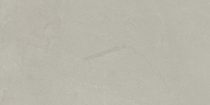  Imola Ceramica Azuma Rock Silver AG 60x120 cm Vloertegel / Wandtegel Mat Vlak Natural A.RCK 12AG RM | 324373