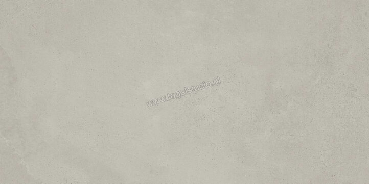  Imola Ceramica Azuma Rock Silver AG 60x120 cm Vloertegel / Wandtegel Mat Vlak Natural A.RCK 12AG RM | 324379