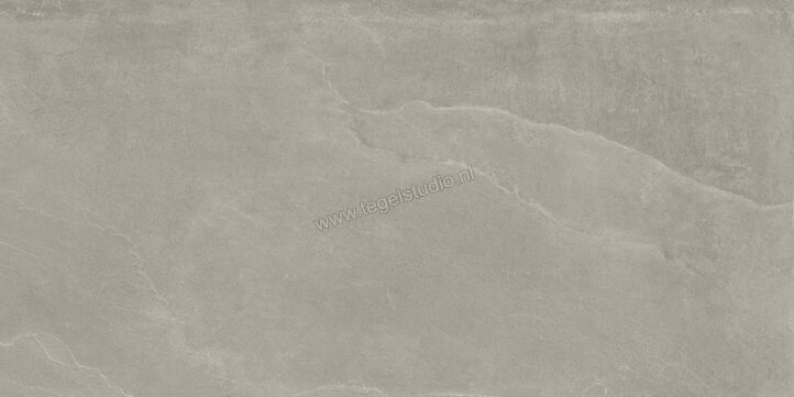  Imola Ceramica Azuma Rock Grey G 60x120 cm Vloertegel / Wandtegel Mat Vlak Natural A.RCK 12G RM | 324415