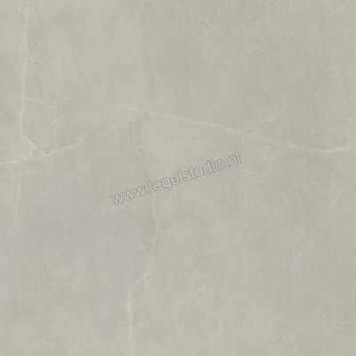 Imola Ceramica Azuma Rock Silver AG 90x90 cm Vloertegel / Wandtegel Mat Vlak Natural A.RCK 90AG RM | 324649