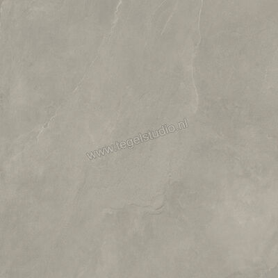  Imola Ceramica Azuma Rock Grey G 120x120 cm Vloertegel / Wandtegel Mat Vlak Naturale A.RCK6 120G RM | 324835