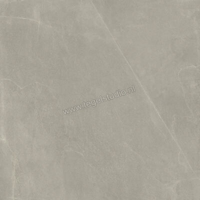  Imola Ceramica Azuma Rock Grey G 120x120 cm Vloertegel / Wandtegel Mat Vlak Naturale A.RCK6 120G RM | 324838