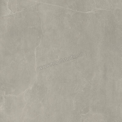  Imola Ceramica Azuma Rock Grey G 120x120 cm Vloertegel / Wandtegel Mat Vlak Naturale A.RCK6 120G RM | 324841