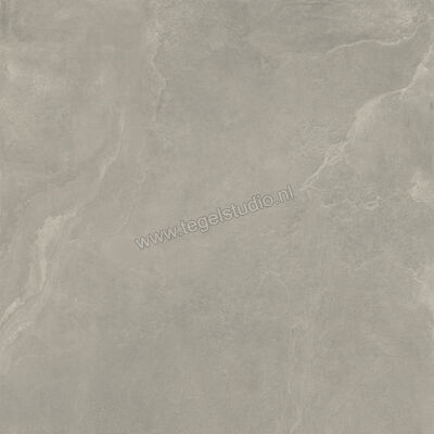 Imola Ceramica Azuma Rock Grey G 120x120 cm Vloertegel / Wandtegel Mat Vlak Naturale A.RCK6 120G RM | 324844