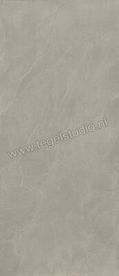  Imola Ceramica Azuma Rock Grey G 120x278 cm Vloertegel / Wandtegel Mat Vlak Naturale A.RCK6 278G RM | 325030