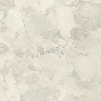  Imola Ceramica Crew Bitter Almond A 120x120 cm Vloertegel / Wandtegel Mat Vlak Natural CR BIT 120A RM | 325645