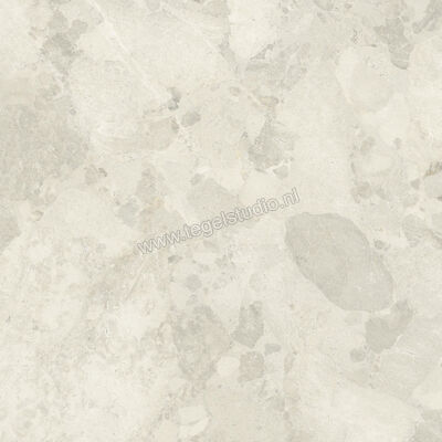  Imola Ceramica Crew Bitter Almond A 120x120 cm Vloertegel / Wandtegel Mat Vlak Natural CR BIT 120A RM | 325651