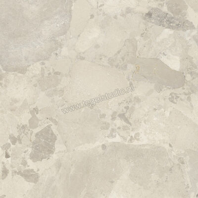  Imola Ceramica Crew Bitter Beige B 120x120 cm Vloertegel / Wandtegel Mat Vlak Natural CR BIT 120B RM | 325663