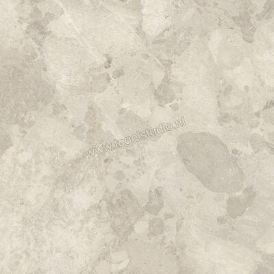  Imola Ceramica Crew Bitter Beige B 120x120 cm Vloertegel / Wandtegel Mat Vlak Natural CR BIT 120B RM | 325666