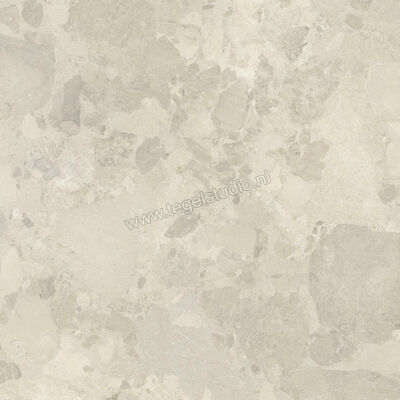  Imola Ceramica Crew Bitter Beige B 120x120 cm Vloertegel / Wandtegel Mat Vlak Natural CR BIT 120B RM | 325669