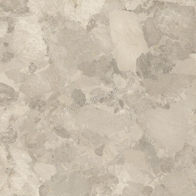  Imola Ceramica Crew Bitter Dove Grey TO 120x120 cm Vloertegel / Wandtegel Mat Vlak Natural CR BIT 120TO RM | 325675