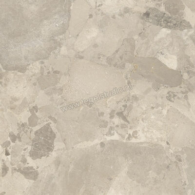  Imola Ceramica Crew Bitter Dove Grey TO 120x120 cm Vloertegel / Wandtegel Mat Vlak Natural CR BIT 120TO RM | 325678