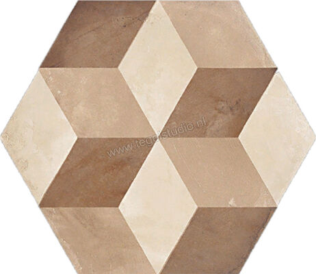  Marca Corona Terra Cubo Esagona Vers. C 21.6x25 cm Decor Mat Vlak 0399 | 32568