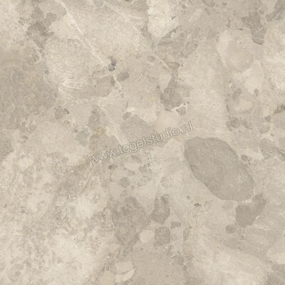  Imola Ceramica Crew Bitter Dove Grey TO 120x120 cm Vloertegel / Wandtegel Mat Vlak Natural CR BIT 120TO RM | 325681