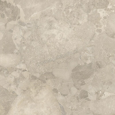  Imola Ceramica Crew Bitter Dove Grey TO 120x120 cm Vloertegel / Wandtegel Mat Vlak Natural CR BIT 120TO RM | 325684