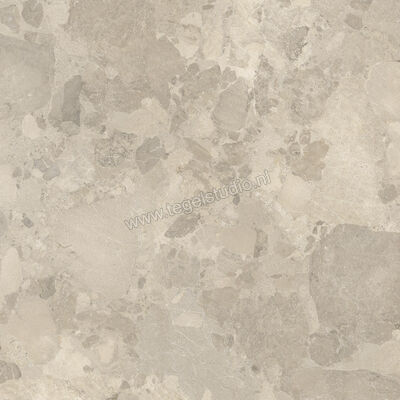  Imola Ceramica Crew Bitter Dove Grey TO 120x120 cm Vloertegel / Wandtegel Mat Vlak Natural CR BIT 120TO RM | 325687