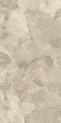 Imola Ceramica Crew Bitter Dove Grey TO 60x120 cm Vloertegel / Wandtegel Mat Vlak Natural CR BIT 12TO RM | 325720