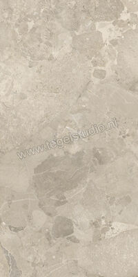  Imola Ceramica Crew Bitter Dove Grey TO 60x120 cm Vloertegel / Wandtegel Mat Vlak Natural CR BIT 12TO RM | 325723