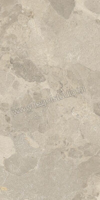  Imola Ceramica Crew Bitter Dove Grey TO 30x60 cm Vloertegel / Wandtegel Mat Vlak Natural CR BIT 36TO RM | 325774