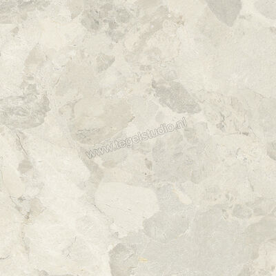  Imola Ceramica Crew Bitter Almond A 60x60 cm Vloertegel / Wandtegel Mat Vlak Natural CR BIT 60A RM | 325783