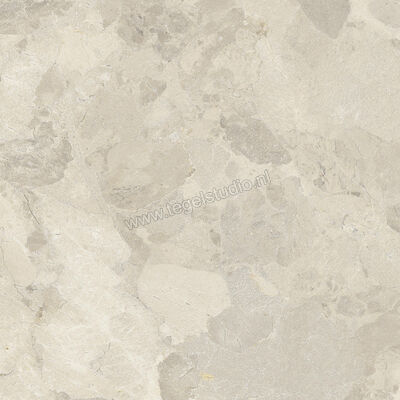  Imola Ceramica Crew Bitter Beige B 60x60 cm Vloertegel / Wandtegel Mat Vlak Natural CR BIT 60B RM | 325798