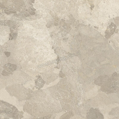  Imola Ceramica Crew Bitter Dove Grey TO 60x60 cm Vloertegel / Wandtegel Mat Vlak Natural CR BIT 60TO RM | 325810