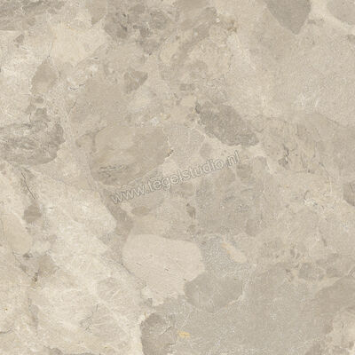  Imola Ceramica Crew Bitter Dove Grey TO 60x60 cm Vloertegel / Wandtegel Mat Vlak Natural CR BIT 60TO RM | 325813