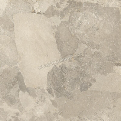  Imola Ceramica Crew Bitter Dove Grey TO 60x60 cm Vloertegel / Wandtegel Mat Vlak Natural CR BIT 60TO RM | 325816