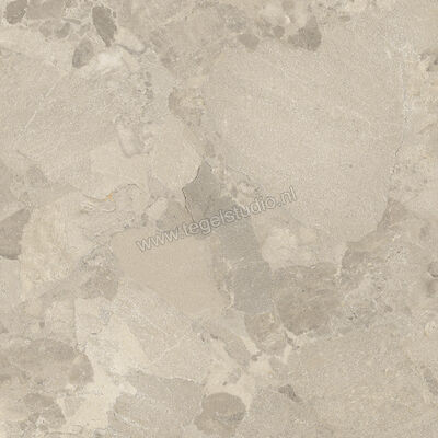  Imola Ceramica Crew Bitter Dove Grey TO 60x60 cm Vloertegel / Wandtegel Mat Vlak Natural CR BIT 60TO RM | 325819