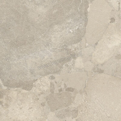 Imola Ceramica Crew Bitter Dove Grey TO 60x60 cm Vloertegel / Wandtegel Mat Vlak Natural CR BIT 60TO RM | 325822