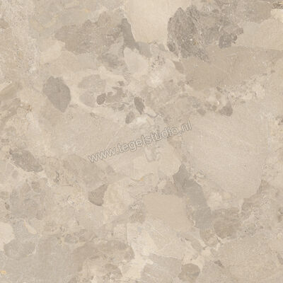  Imola Ceramica Crew Bitter Dove Grey TO 90x90 cm Vloertegel / Wandtegel Mat Vlak Natural CR BIT 90TO RM | 325858