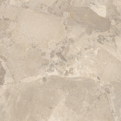  Imola Ceramica Crew Bitter Dove Grey TO 90x90 cm Vloertegel / Wandtegel Mat Vlak Natural CR BIT 90TO RM | 325864