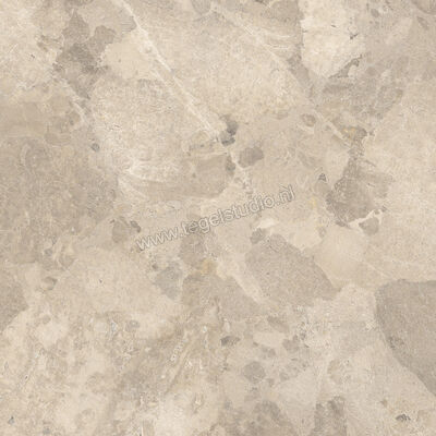  Imola Ceramica Crew Bitter Dove Grey TO 90x90 cm Vloertegel / Wandtegel Mat Vlak Natural CR BIT 90TO RM | 325867