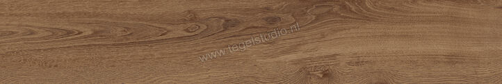  Imola Ceramica Crew Honey Hazelnut NO 20x120 cm Special Mat Vlak Natural CR HON 2012NORM | 326134