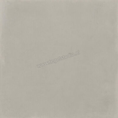  Imola Ceramica Oxyd Grey G 120x120 cm Vloertegel / Wandtegel Mat Vlak Natural OXYD 120G RM | 326404