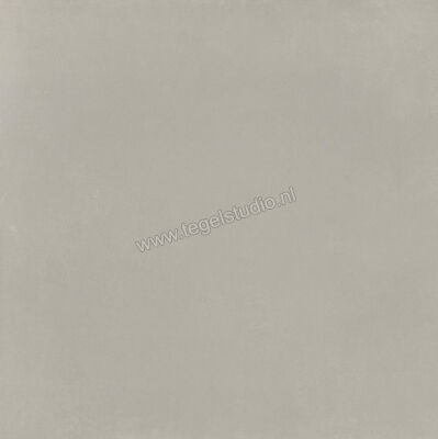  Imola Ceramica Oxyd Grey G 120x120 cm Vloertegel / Wandtegel Mat Vlak Natural OXYD 120G RM | 326407